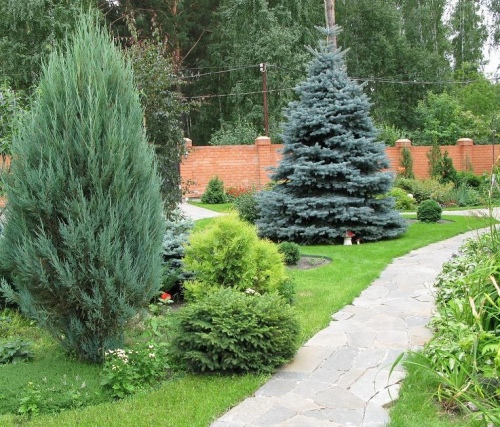 Манты